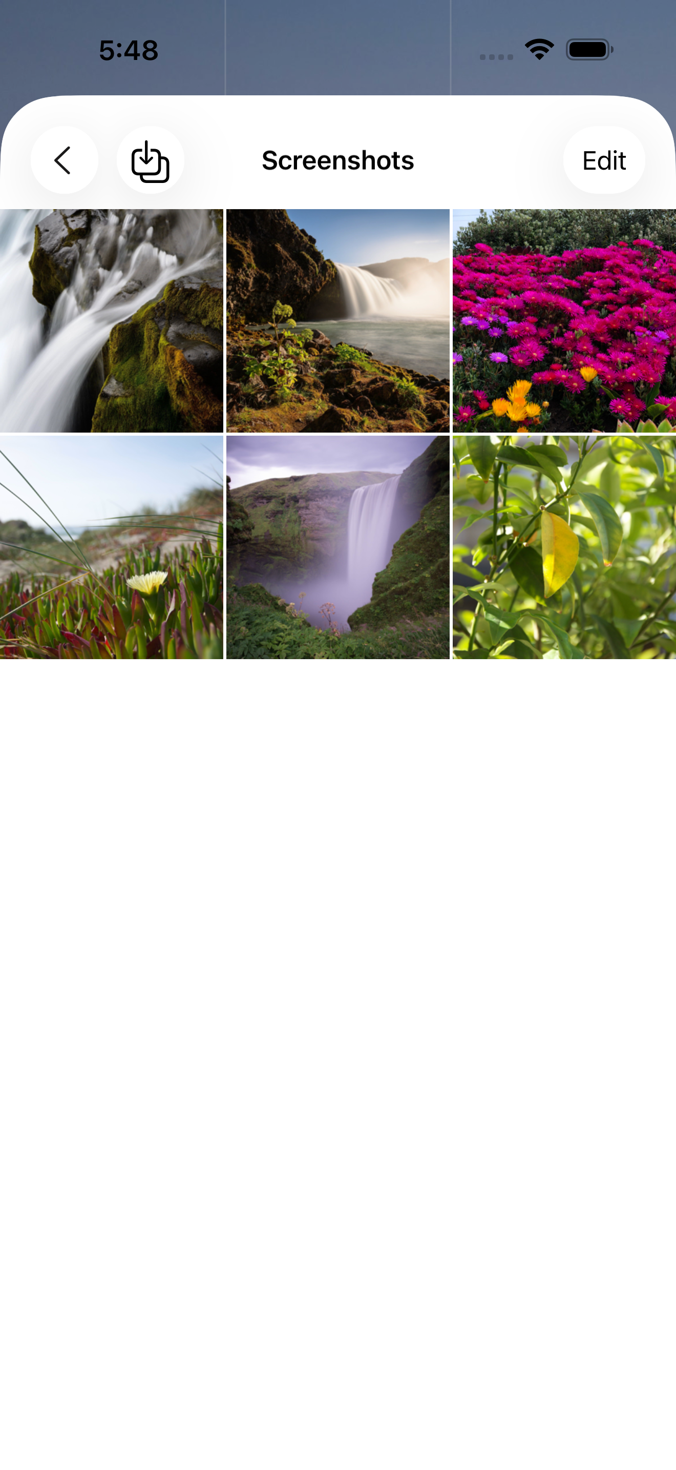 写真一覧とImportボタン